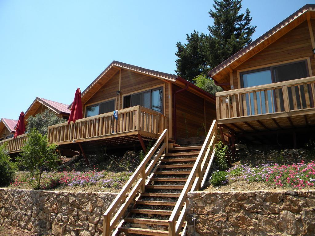 Azra Villas Çıralı 部屋 写真
