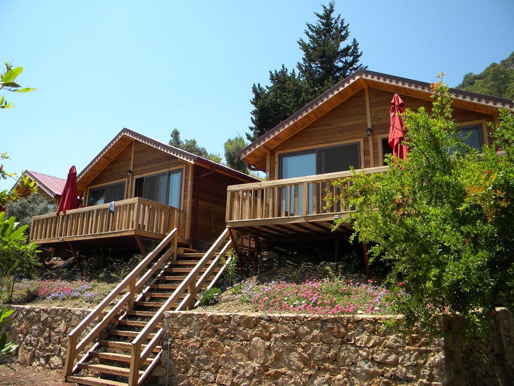Azra Villas Çıralı 部屋 写真