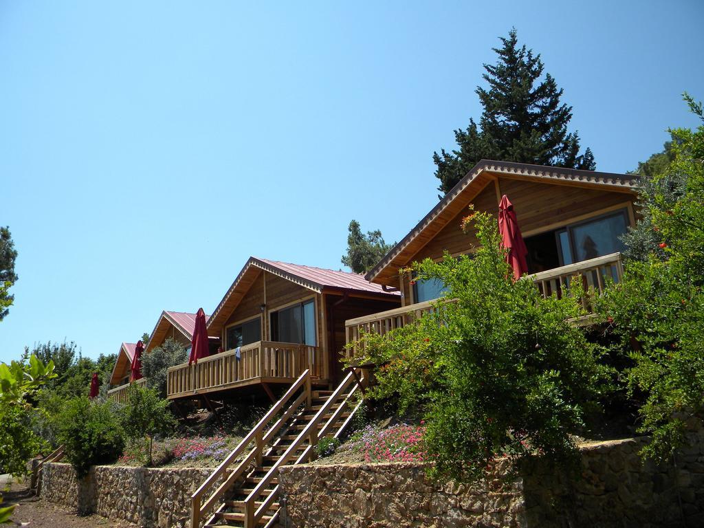 Azra Villas Çıralı 部屋 写真