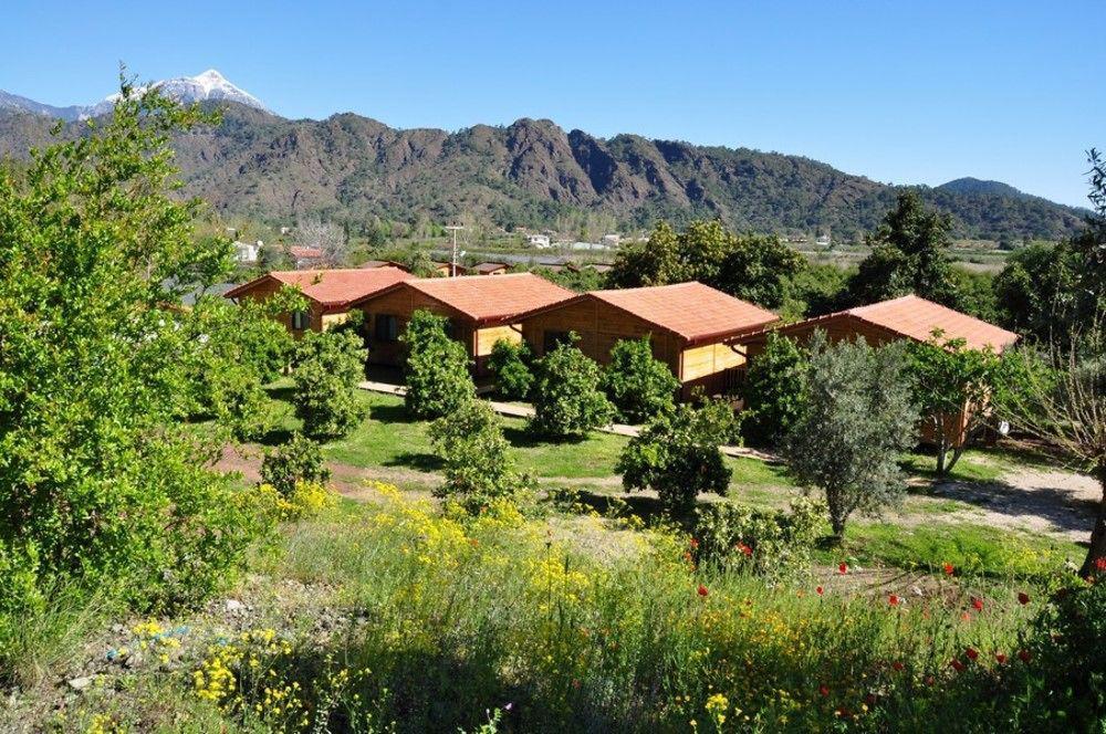 Azra Villas Çıralı エクステリア 写真